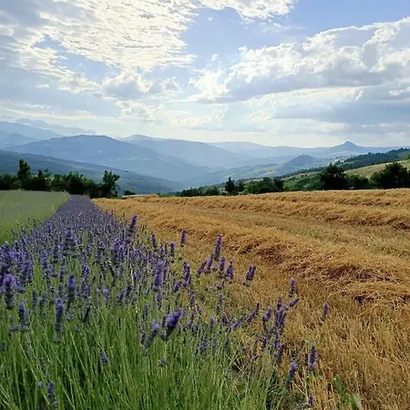 La Casetta - Ospitalita Rurale Familiare Farm stay *